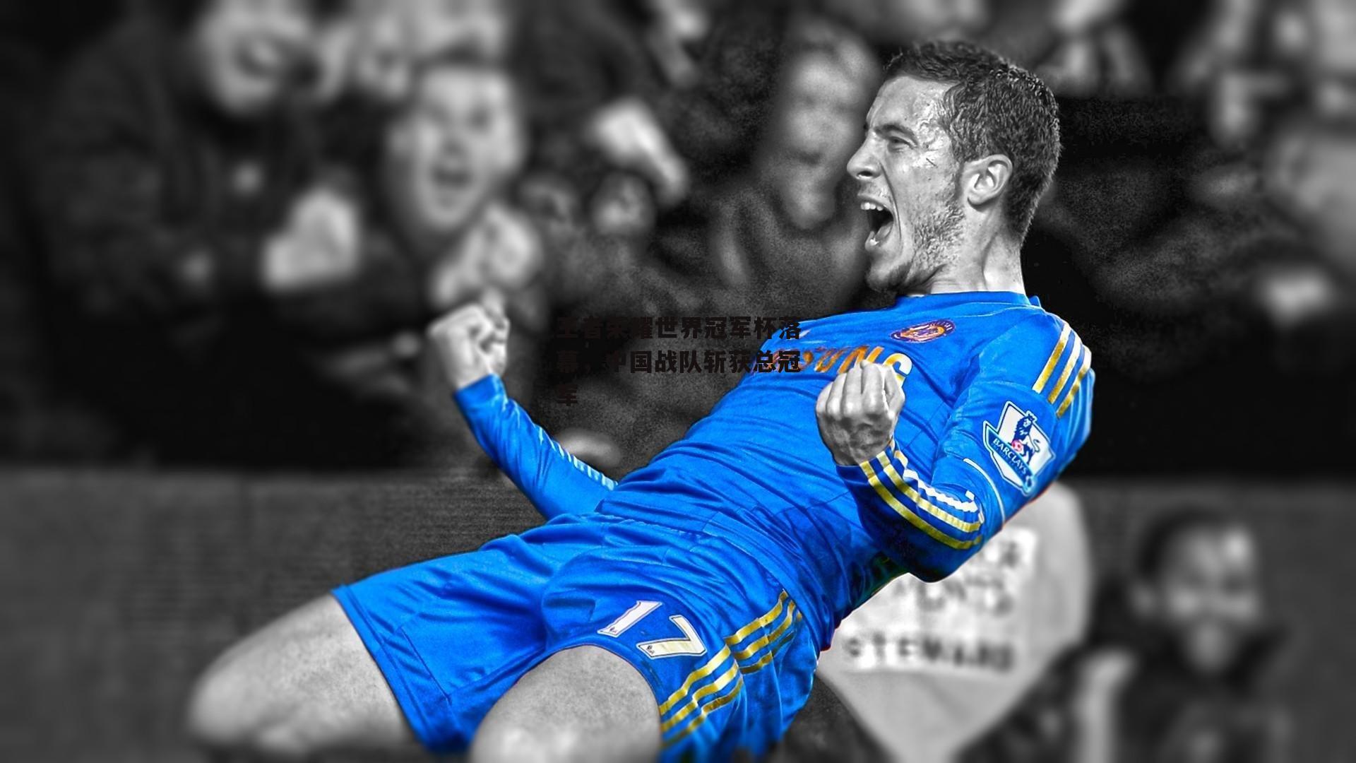 王者荣耀世界冠军杯落幕，中国战队斩获总冠军