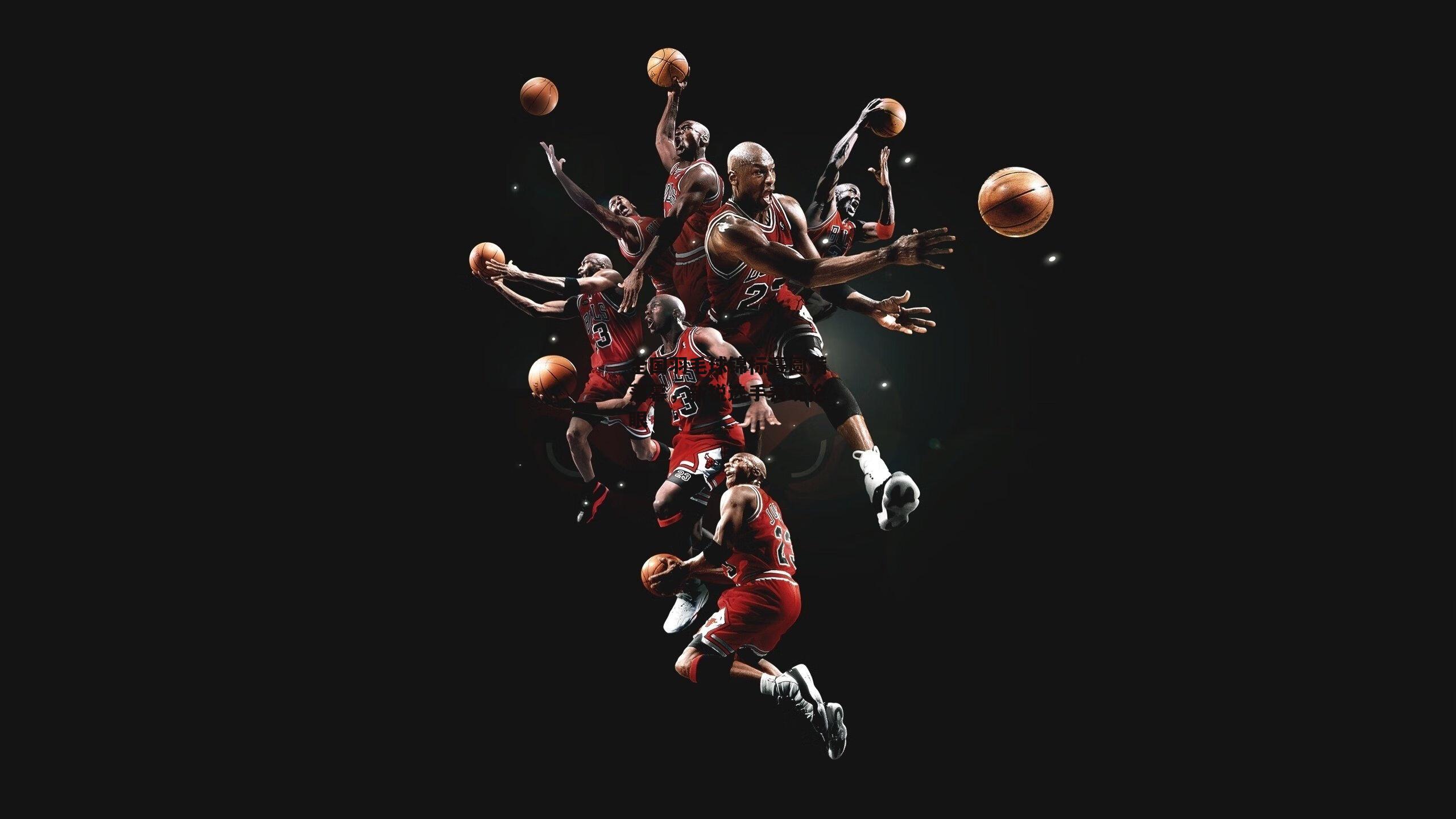 全国羽毛球锦标赛圆满落幕，新锐选手表现抢眼