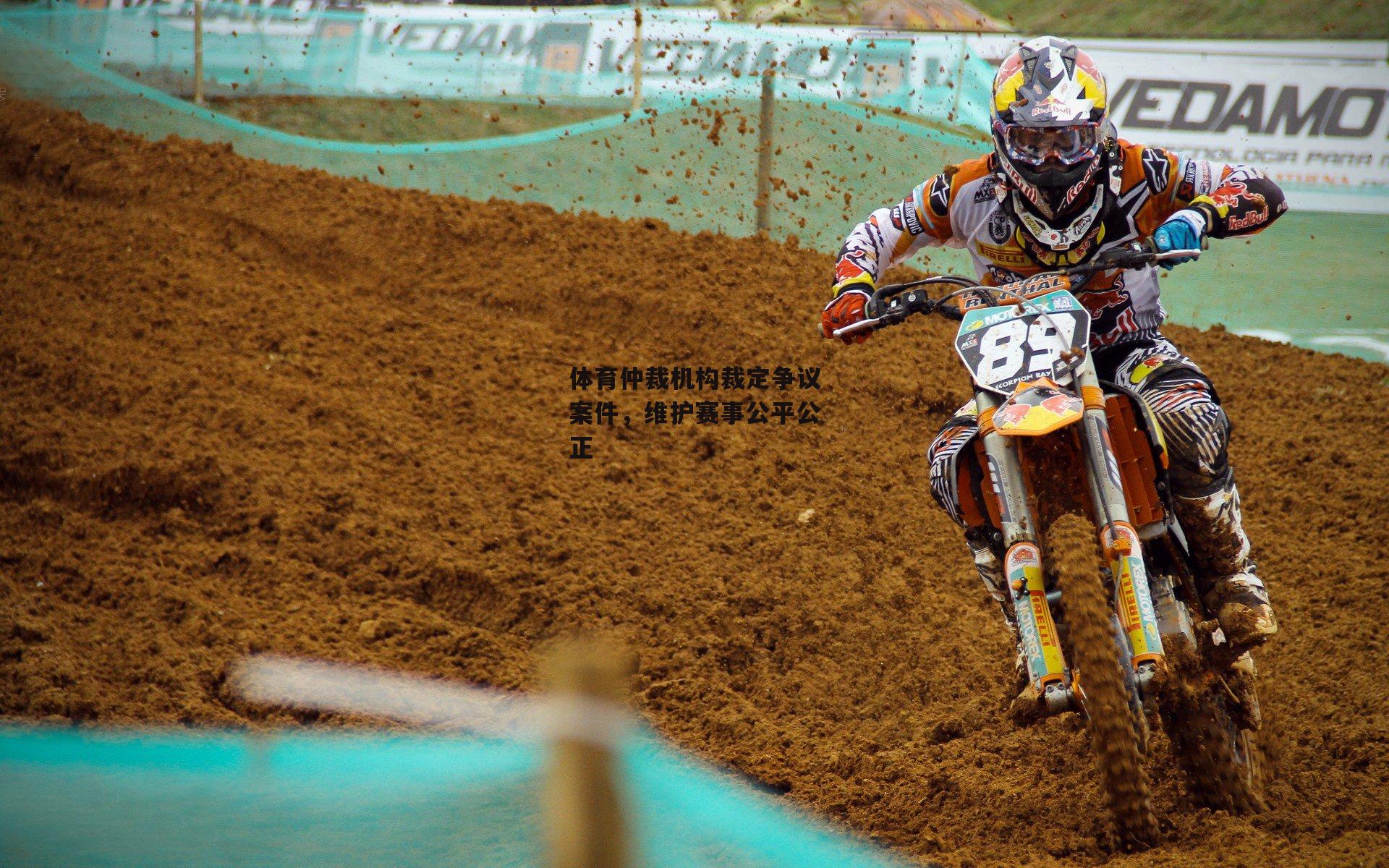 体育仲裁机构裁定争议案件,维护赛事公平公正